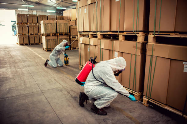 Best Wasp Removal Services  in El Segundo, CA