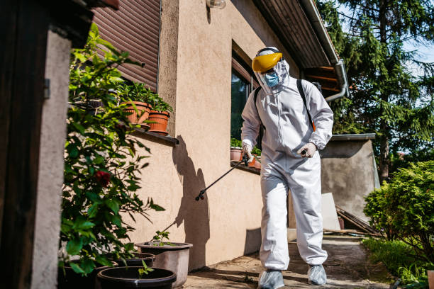 Pest Control Cost in El Segundo, CA