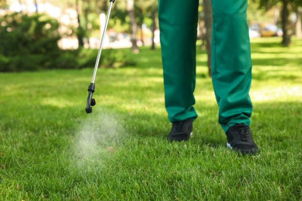 Best Pest Control Near Me in El Segundo, CA