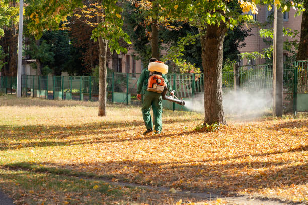 Pest Control for Restaurants in El Segundo, CA